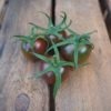 1804_2_Black_Cherry