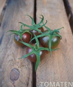 1804_2_Black_Cherry