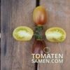 1805_3_Indigo_Kumquat