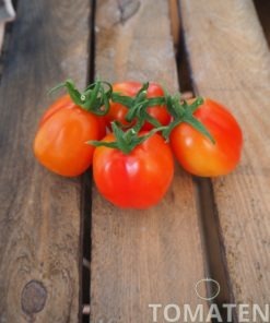 1808_2_Scatolone