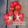 1809_3_Reisetomate