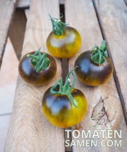 1810_2_Dark_Antho