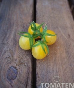 1811_2_Barrys_Crazy_Cherry
