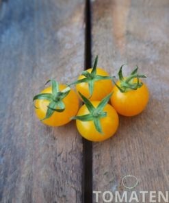 1817_2_Wildtomate_gelb