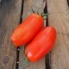 1822_2_San_Marzano