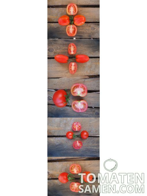 Samenmischung Rote Liebe - 5 Sorten Tomaten je 10 Samen