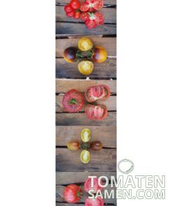 Samenmischung Schönheiten - 5 Sorten Tomaten je 10 Samen