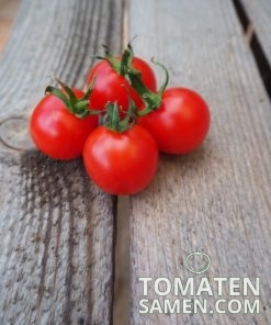 1939_2_Riesentraube