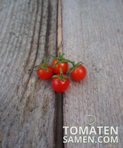1942_2_Rote_Johannisbeere