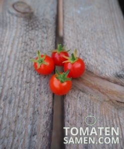 1943_2_Rote_Murmel