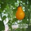 1951_1_Orange_Pear