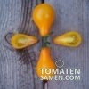 1951_3_Orange_Pear