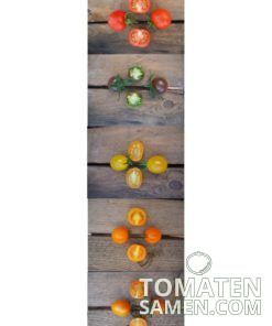 Samenmischung Cocktail-Party - 5 Sorten Tomaten je 10 Samen