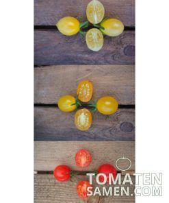 Samenmischung Fette Beute - 3 Sorten Tomaten je 10 Samen