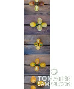 Samenmischung Gelbe Schätze - 5 Sorten Tomaten je 10 Samen