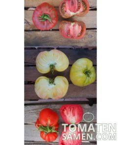 Samenmischung Pfundskerle - 3 Sorten Tomaten je 10 Samen
