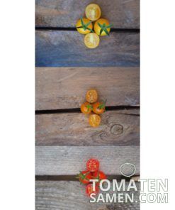 Samenmischung Wilde Kerle - 3 Sorten Tomaten je 10 Samen
