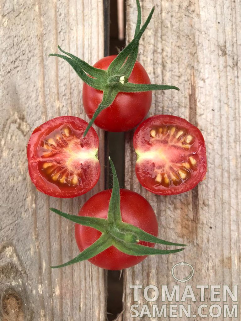 Tomatensamen - Tomate Justens Süße - 10 Samen Saatgut kaufen