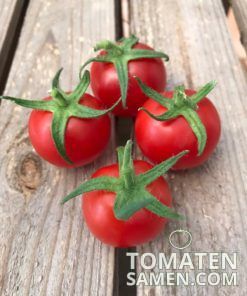 Alternative view of Red Cherry - 10 Samen