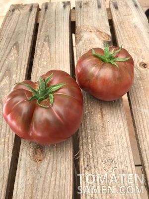 BIO-Tomatensamen „Tschernij Prinz“ – Braunrote Fleischtomate Für Freiland, Portion Für 20-25 Pflanzen