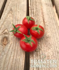 Alternative view of Bajaja Tomate - 10 Samen