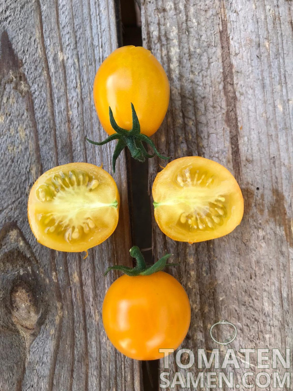 Tomatensamen - Tomate Golden Nugget - 10 Samen Saatgut kaufen