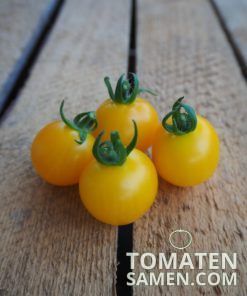Alternative view of Yellow Canary - 10 Samen
