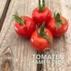 2058_2_Tumbling_Tom_Red