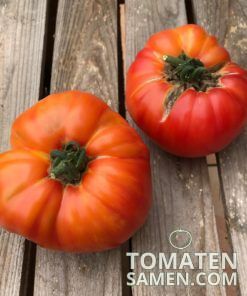 Alternative view of Ananas Tomate - 10 Samen