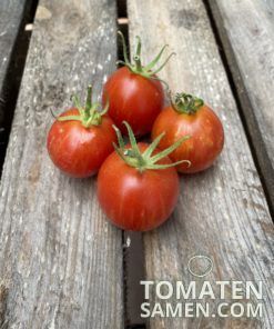 Alternative view of Tigerella - 10 Samen