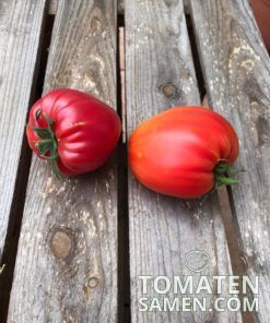 Alternative view of Orange Russian 117 - 10 Samen