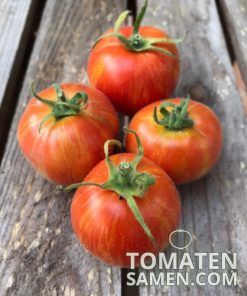 Alternative view of Fuzzy Wuzzy - 10 Samen