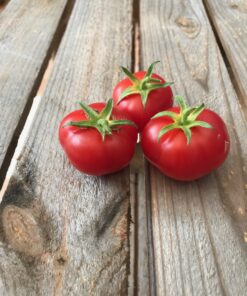 1828_2_Rotkäppchen