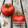 2066_2_Marmande