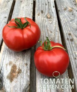 2066_2_Marmande