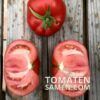 2066_3_Marmande