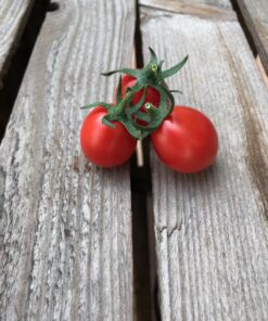 2174_2_Baselbieter_Röteli