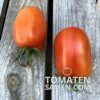 2176_2_Roma_Tomate