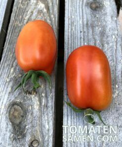 2176_2_Roma_Tomate