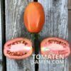 2176_3_Roma_Tomate