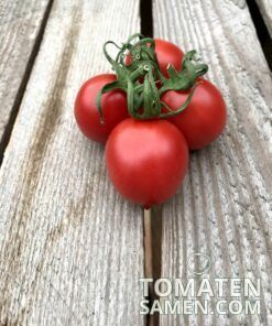 2178_2_Principe_Borghese