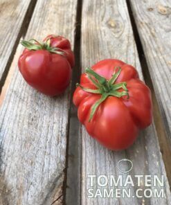 2180_2_Belmonte_Calabrese_Rosa