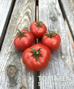 Alte Tomatensorten Tomatensamen kaufen