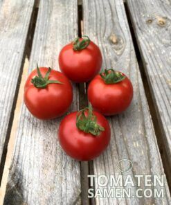 2185_2_Kremser_Perle