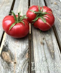 2187_2_Pink_Brandywine