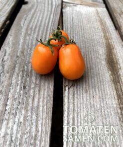 2191_2_Datlo