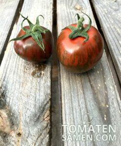 2192_2_Black_Zebra