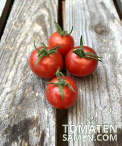 2193_2_Zuckertraube