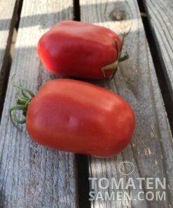 1990_2_San_Marzano_Nano